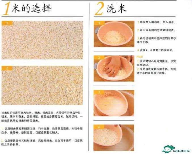45 专业炒饭45 专业炒饭_1.png